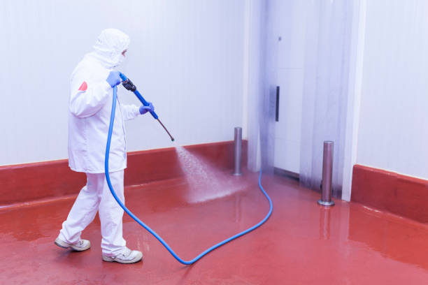 Best Roof Washing  in Veedersburg, IN